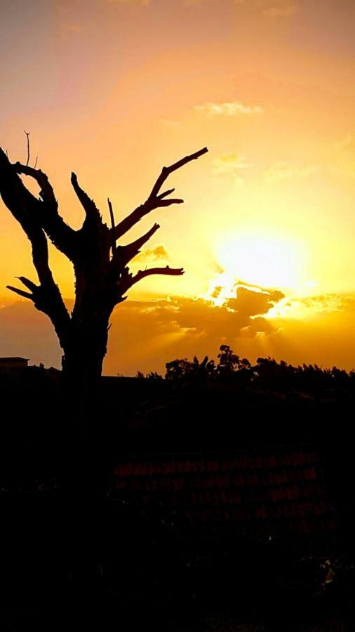 Casa Benedita بونتا دو بارغو المظهر الخارجي الصورة